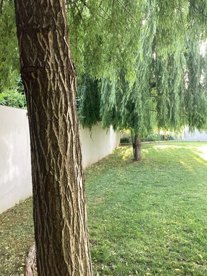 Villa Tartaya 达西亚 外观 照片