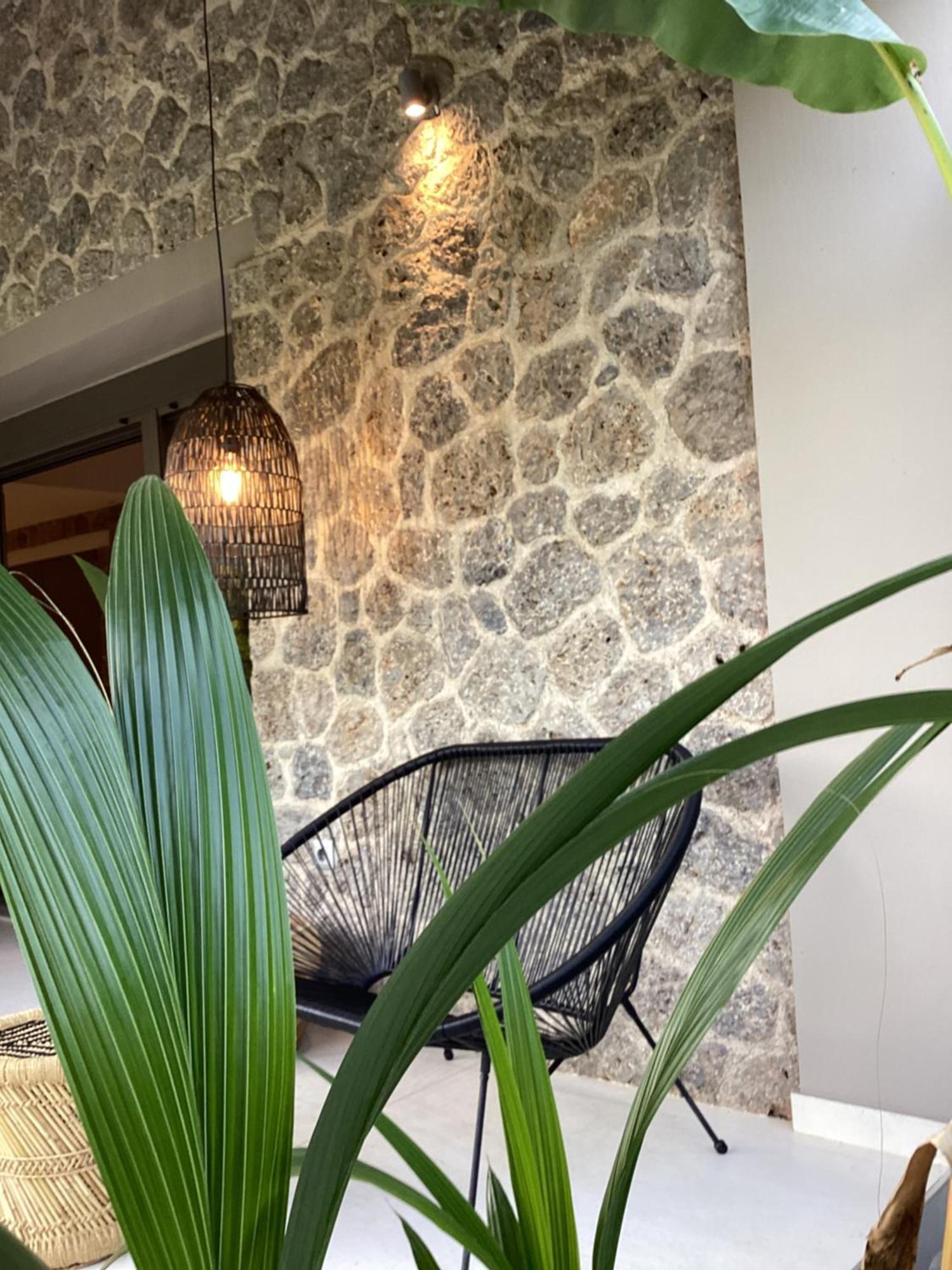 Villa Tartaya 达西亚 外观 照片
