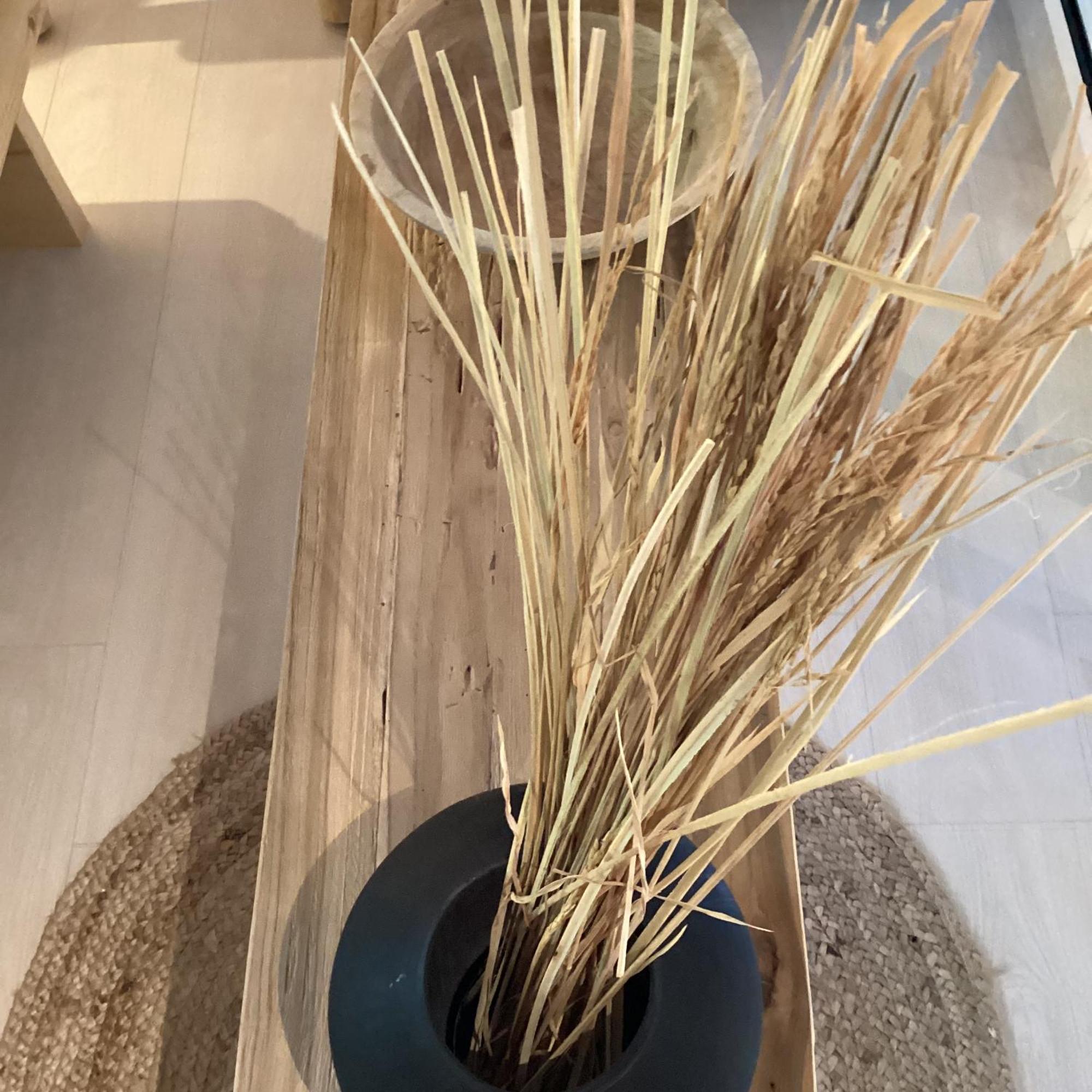 Villa Tartaya 达西亚 外观 照片